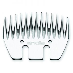13tooth